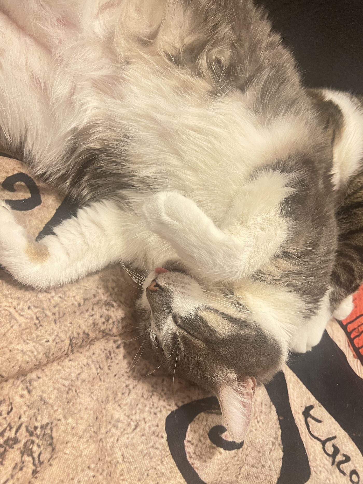 Pixel