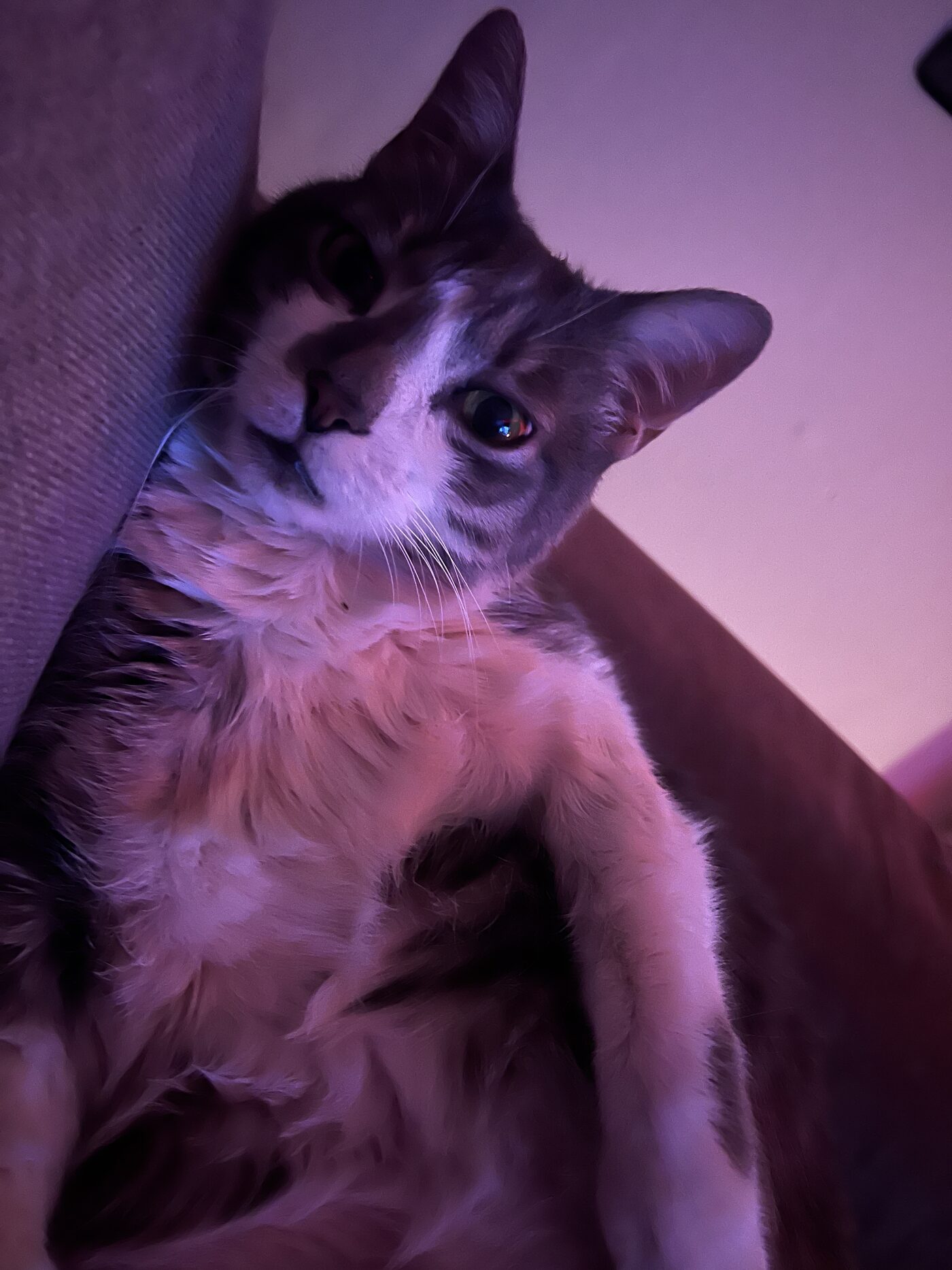 Pixel
