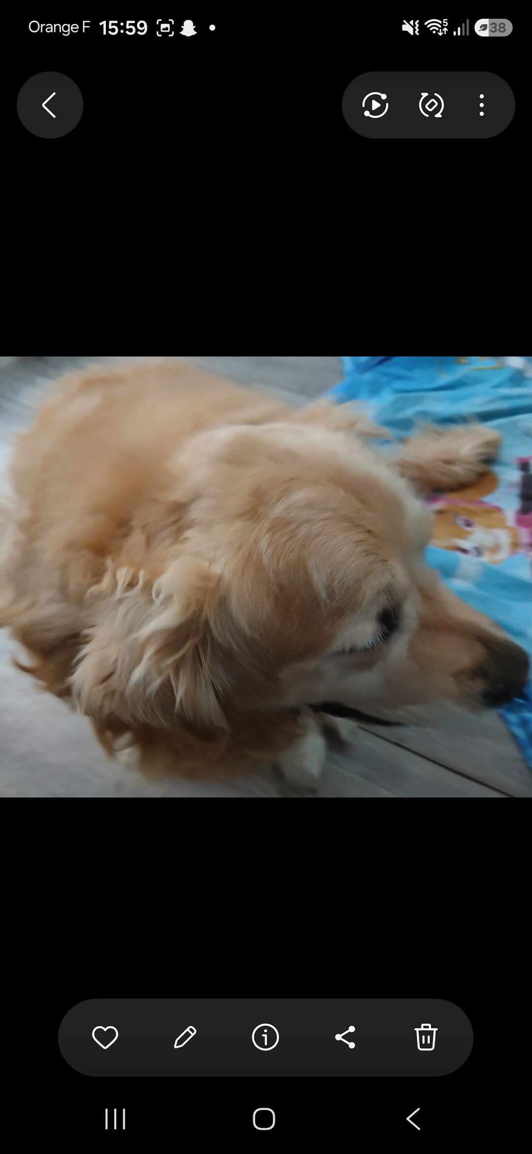 Luigy