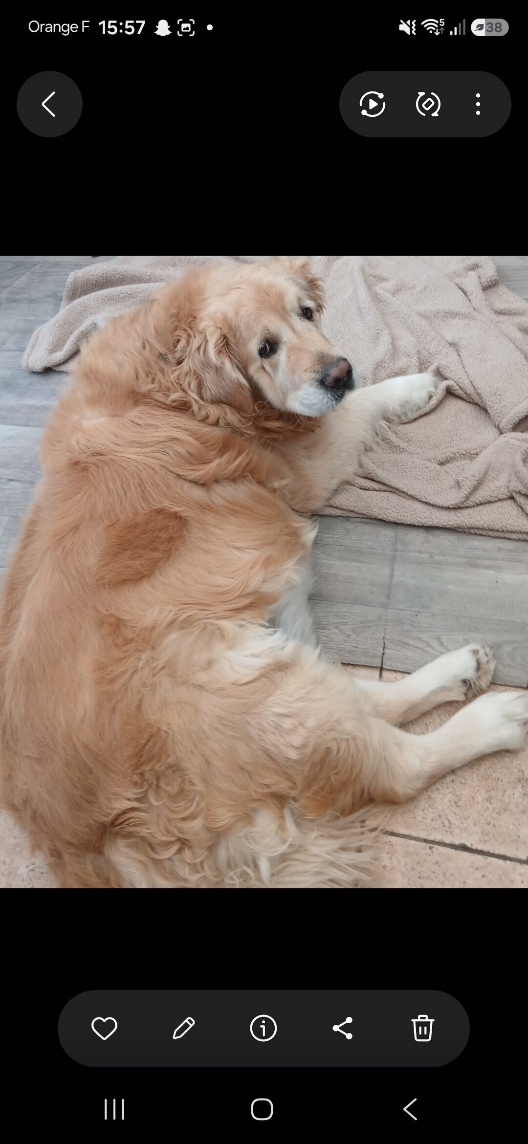 Luigy
