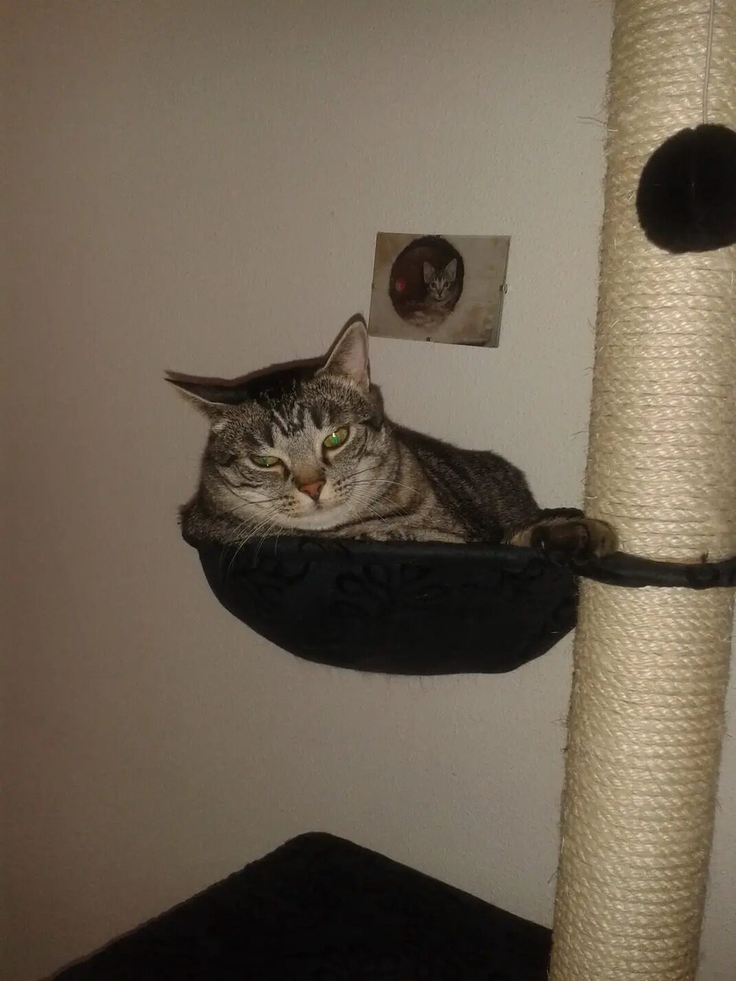 Filou