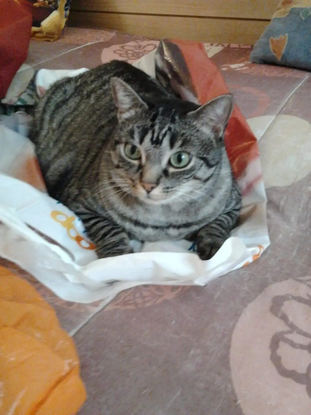 Filou