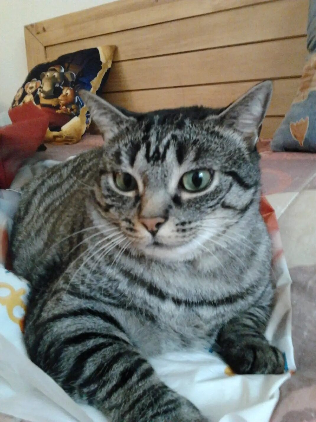 Filou