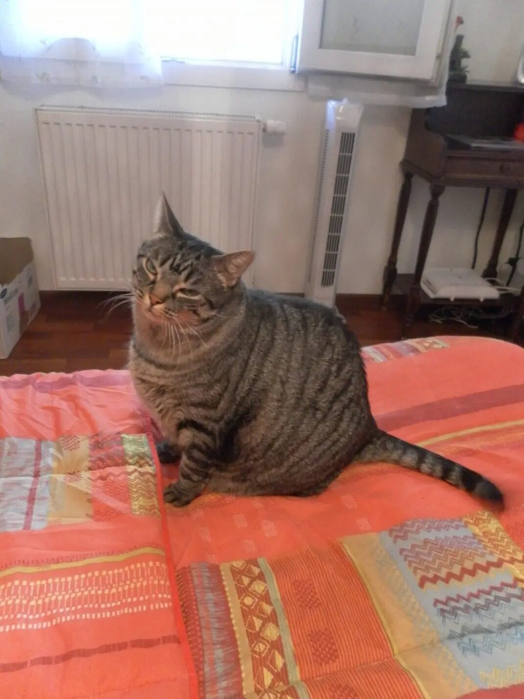 Filou