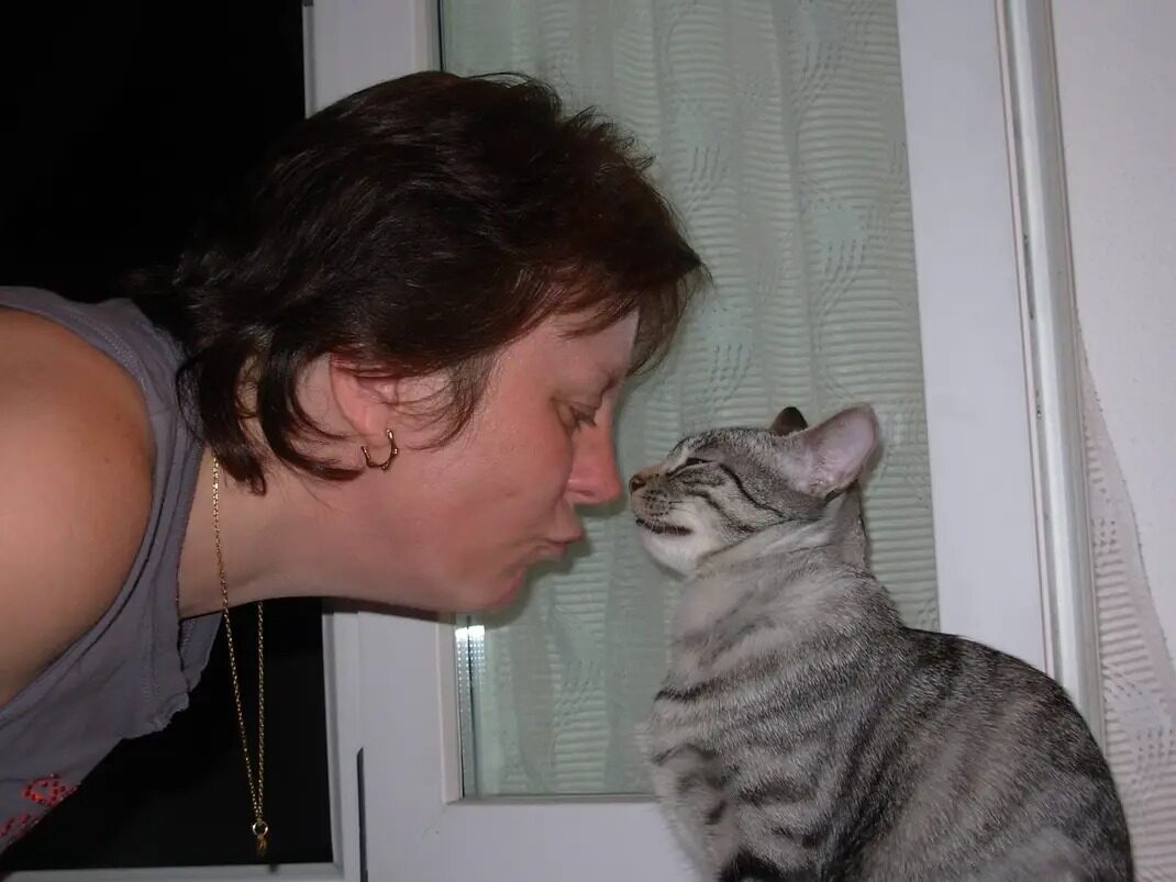 Filou