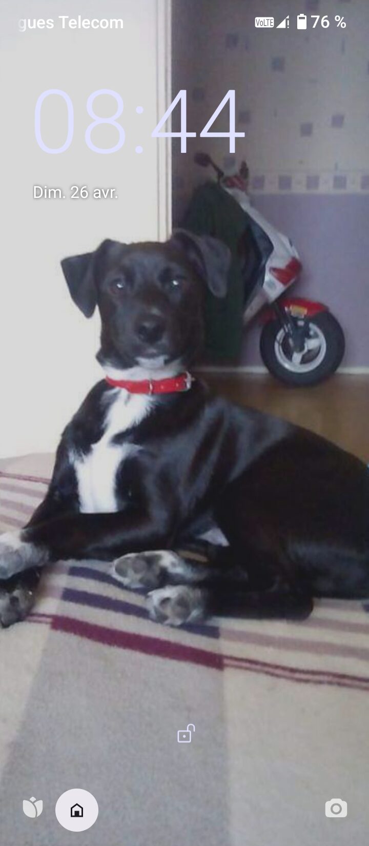 Booba