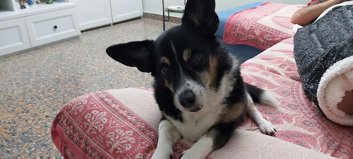 TIna