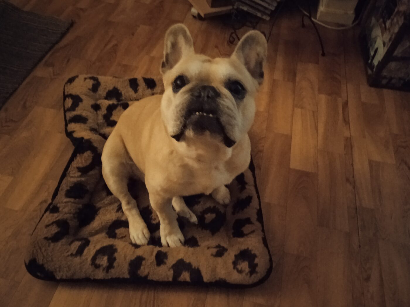 Diesel