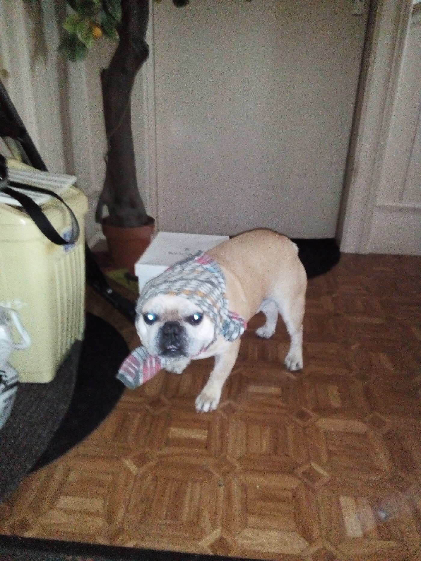Diesel
