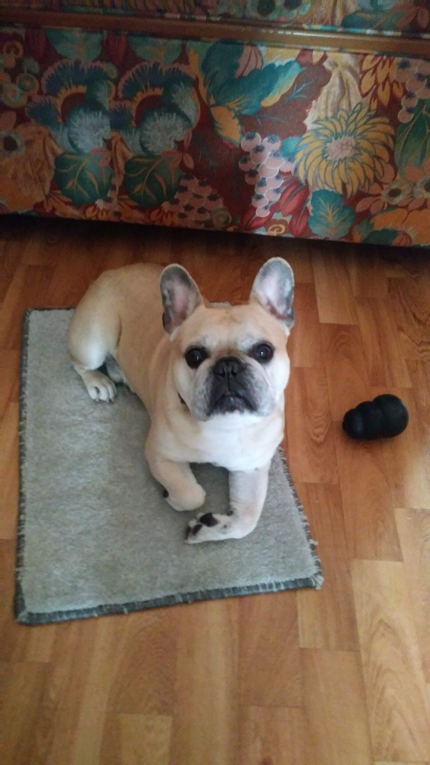 Diesel