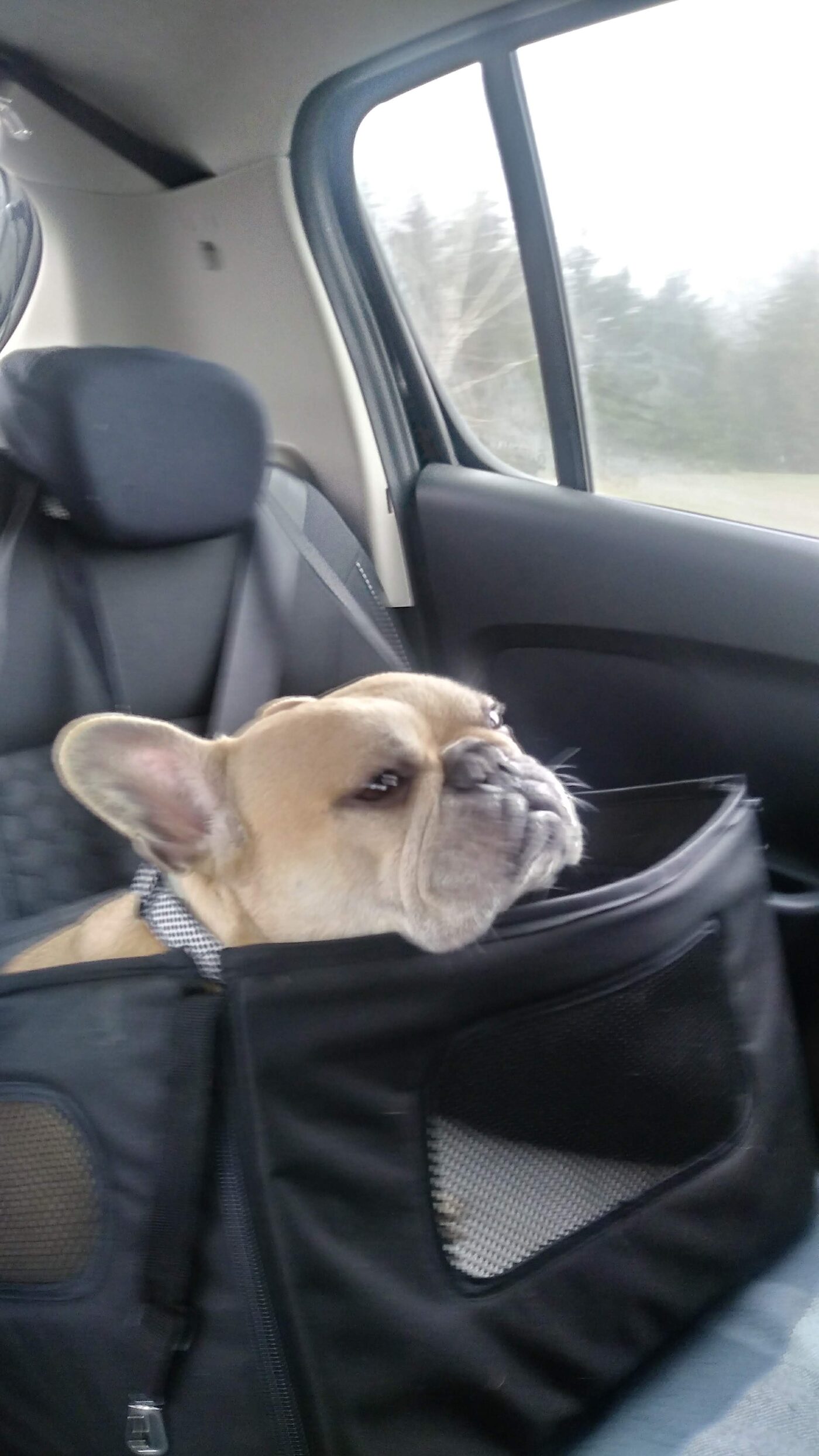 Diesel