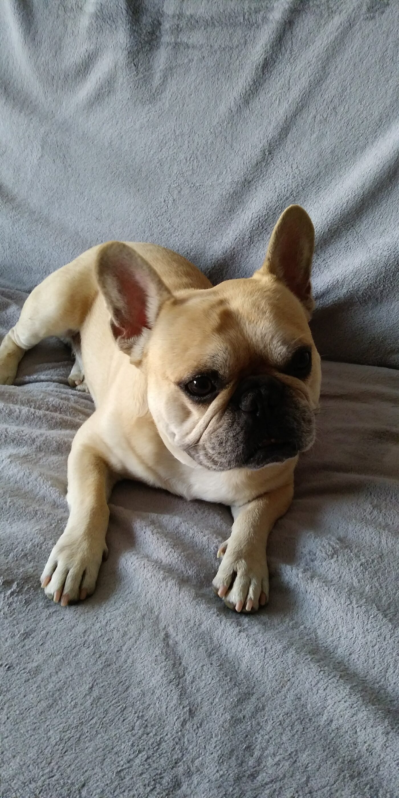 Diesel