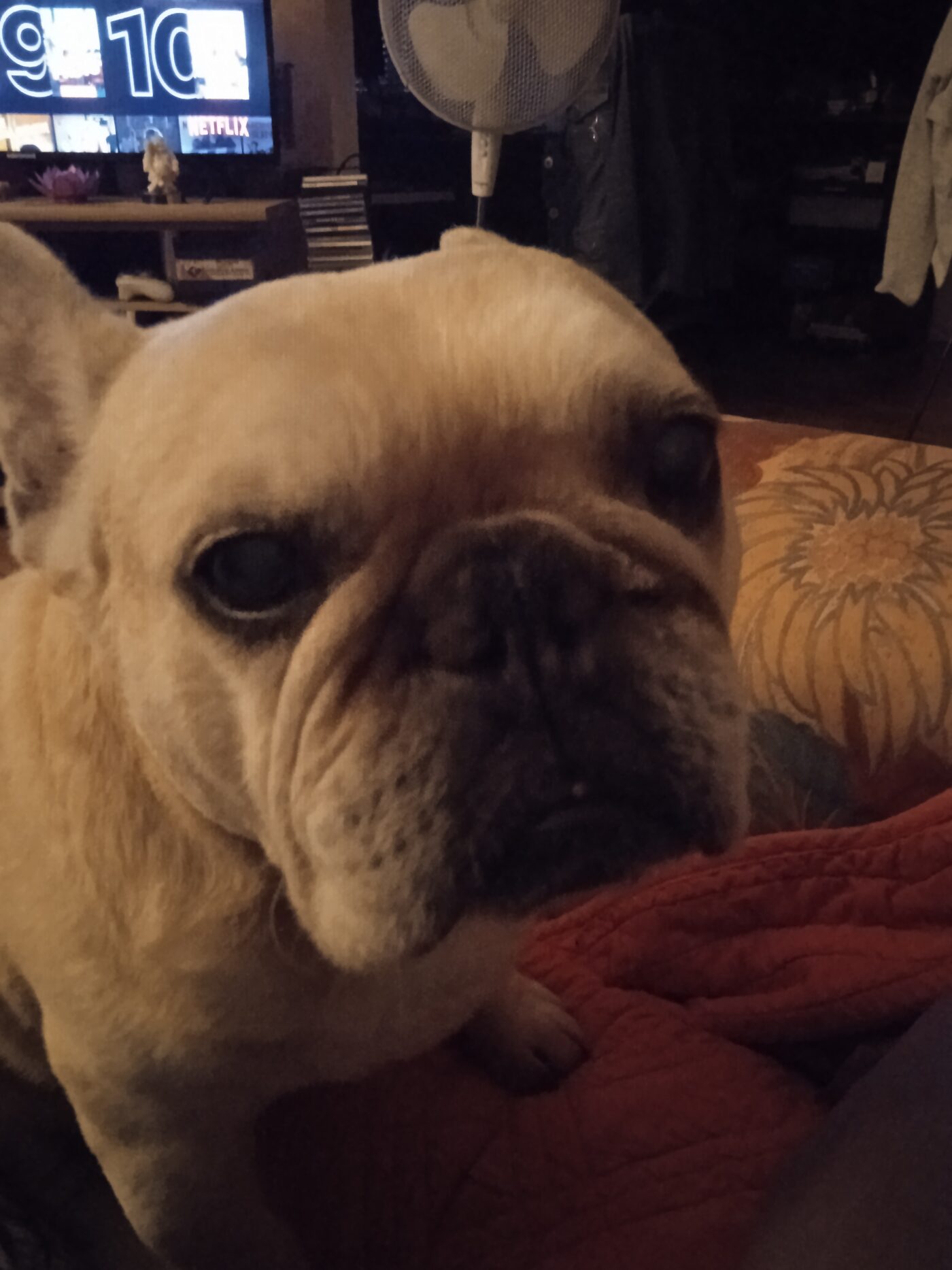 Diesel