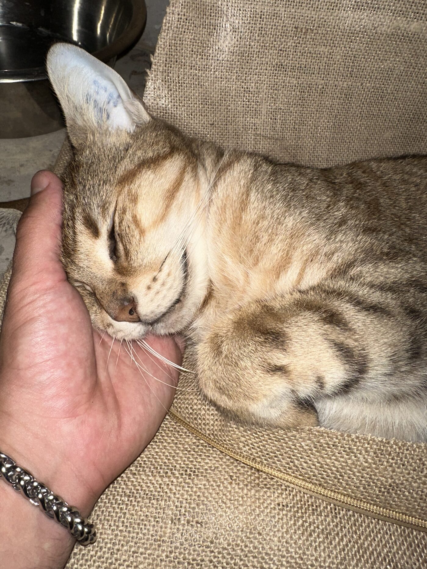 TINI