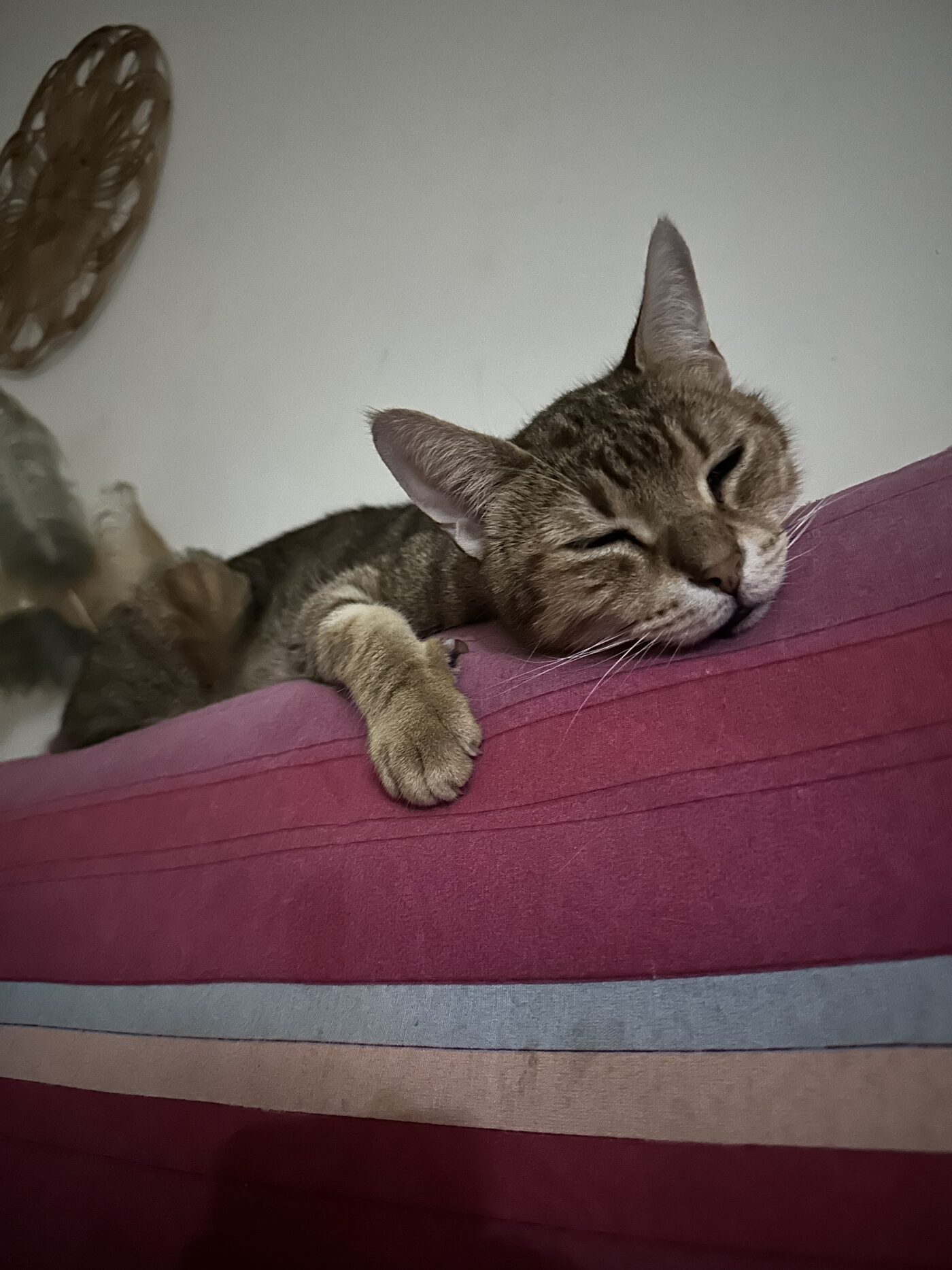 TINI