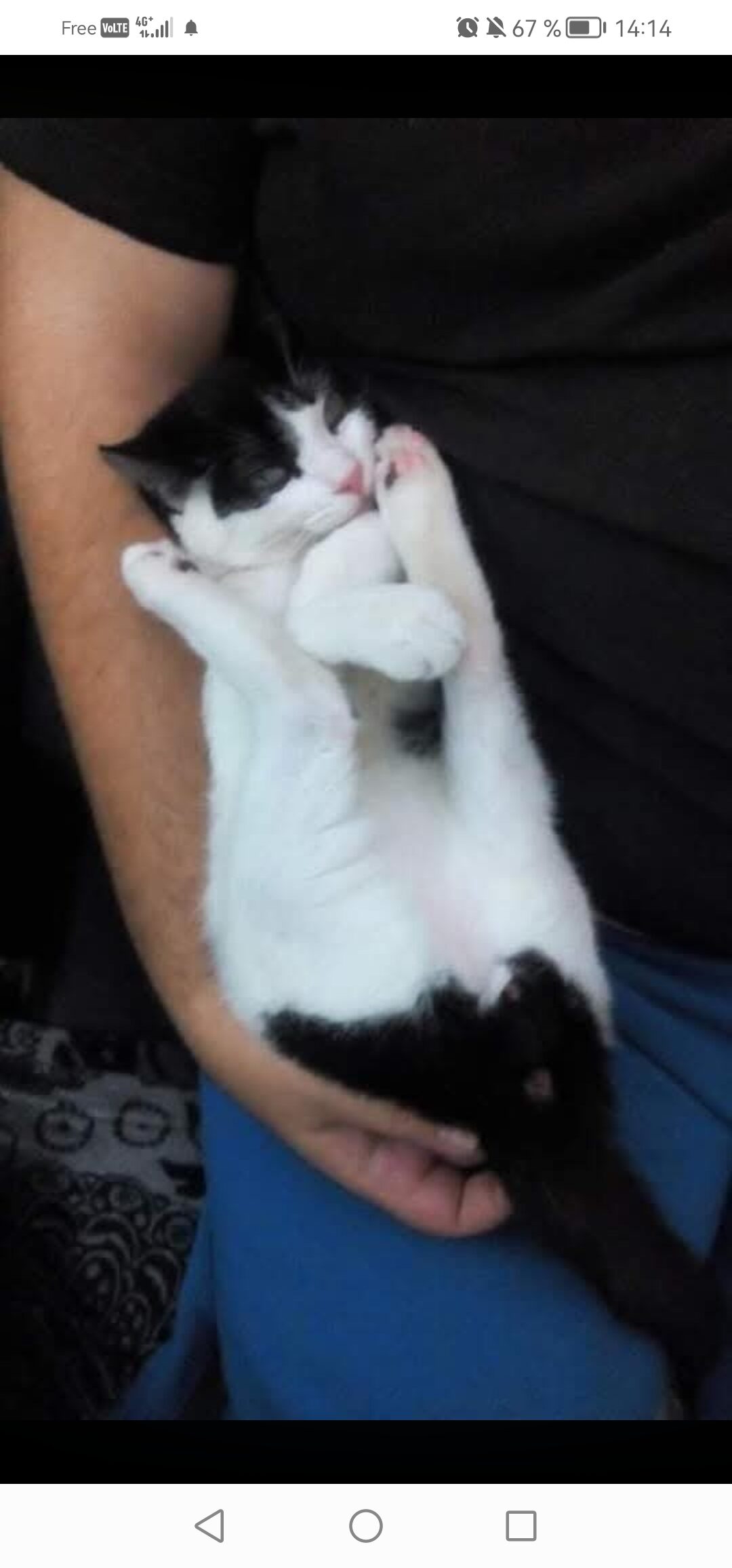 Samy