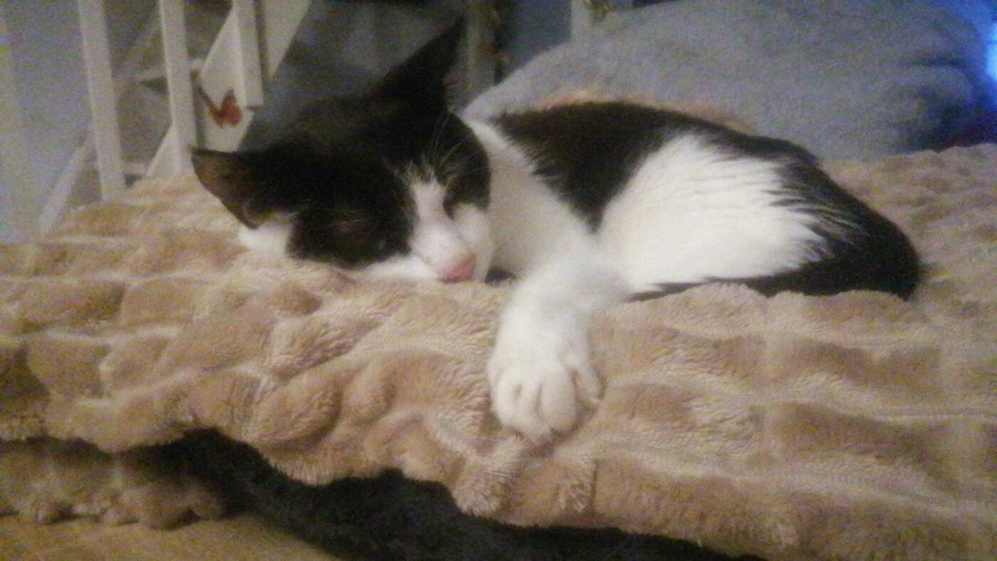 Samy