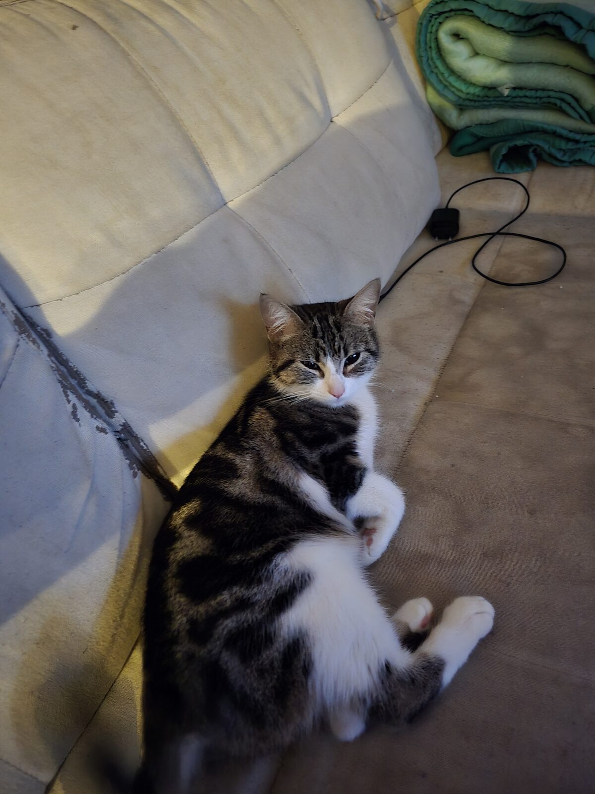 Nala