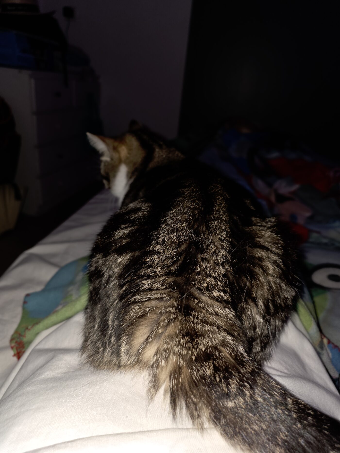 Nala