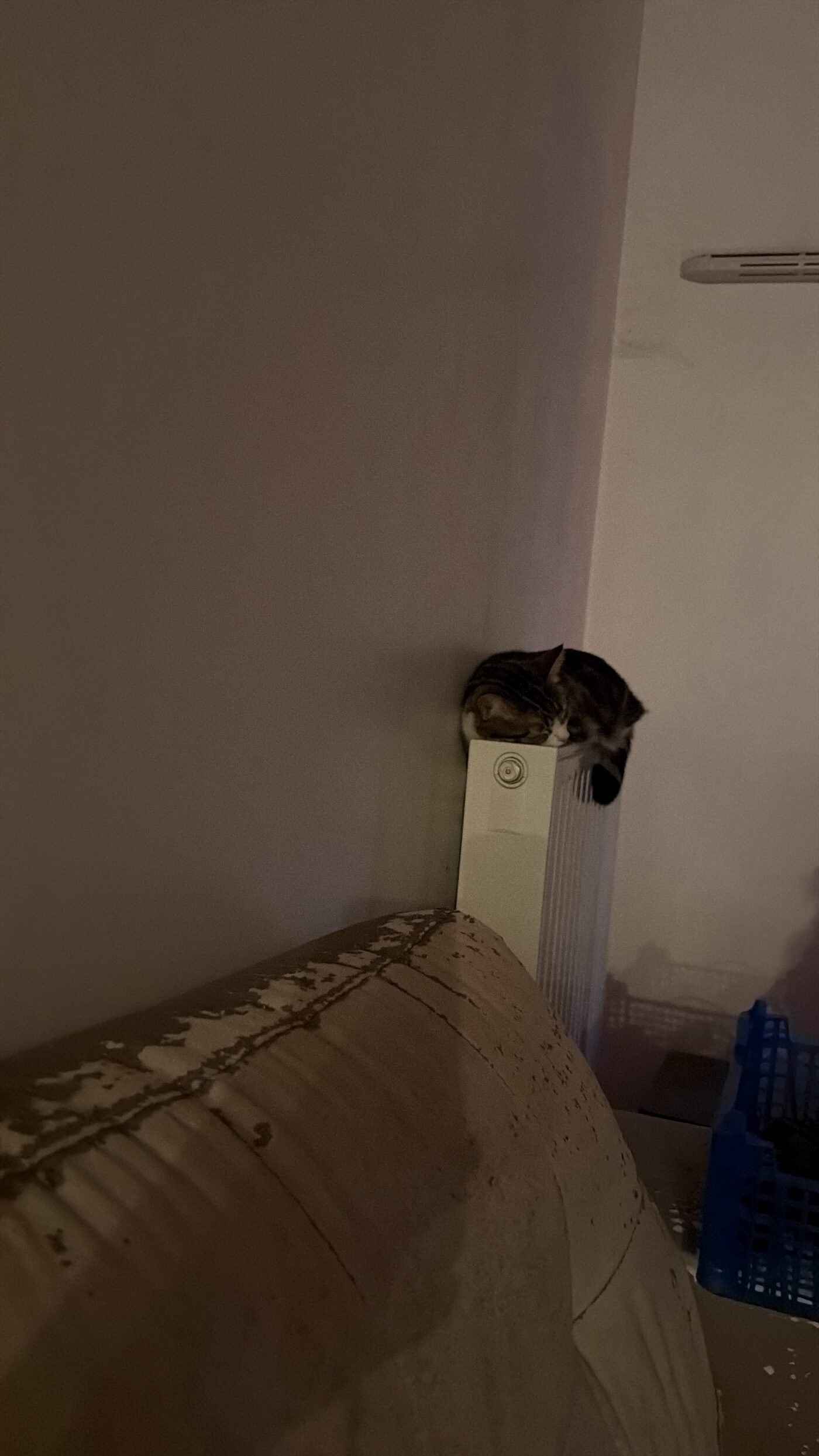 Nala