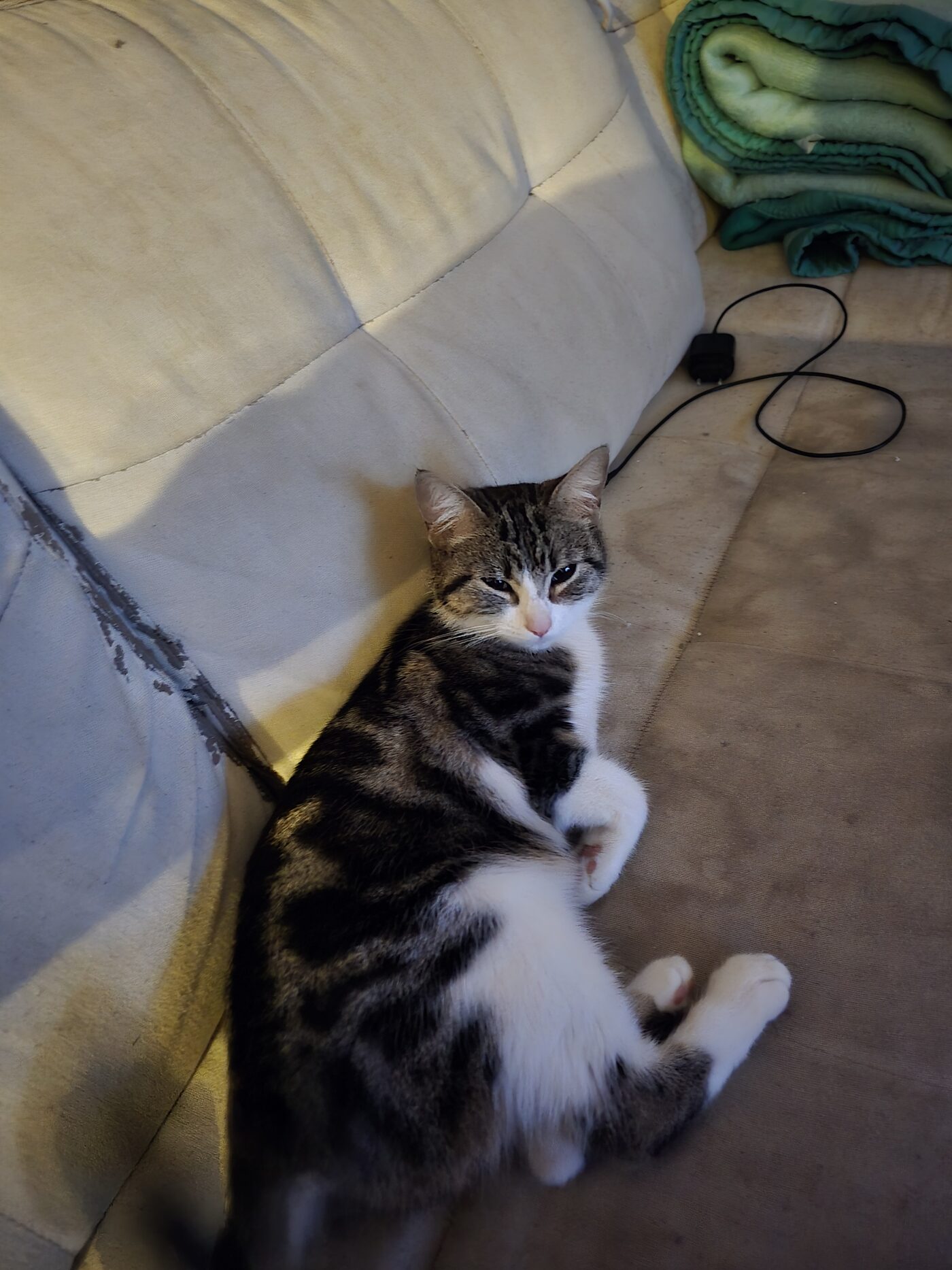 Nala