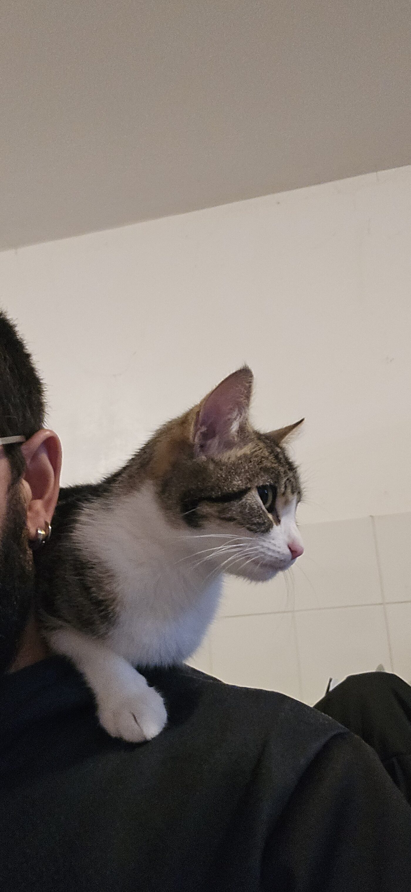 Nala