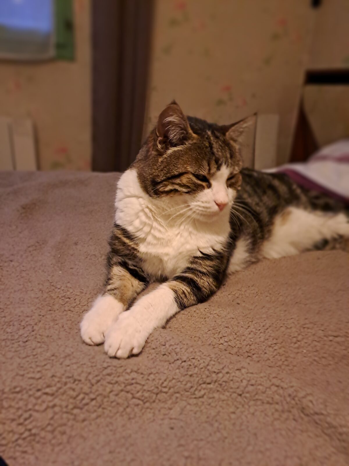 Elliott