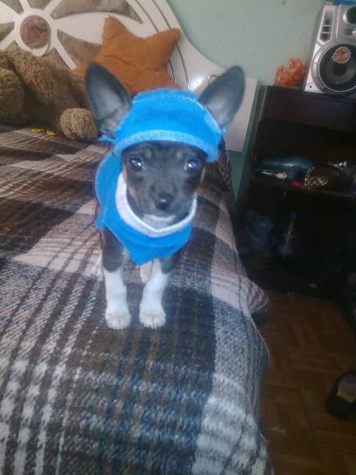 Vicious