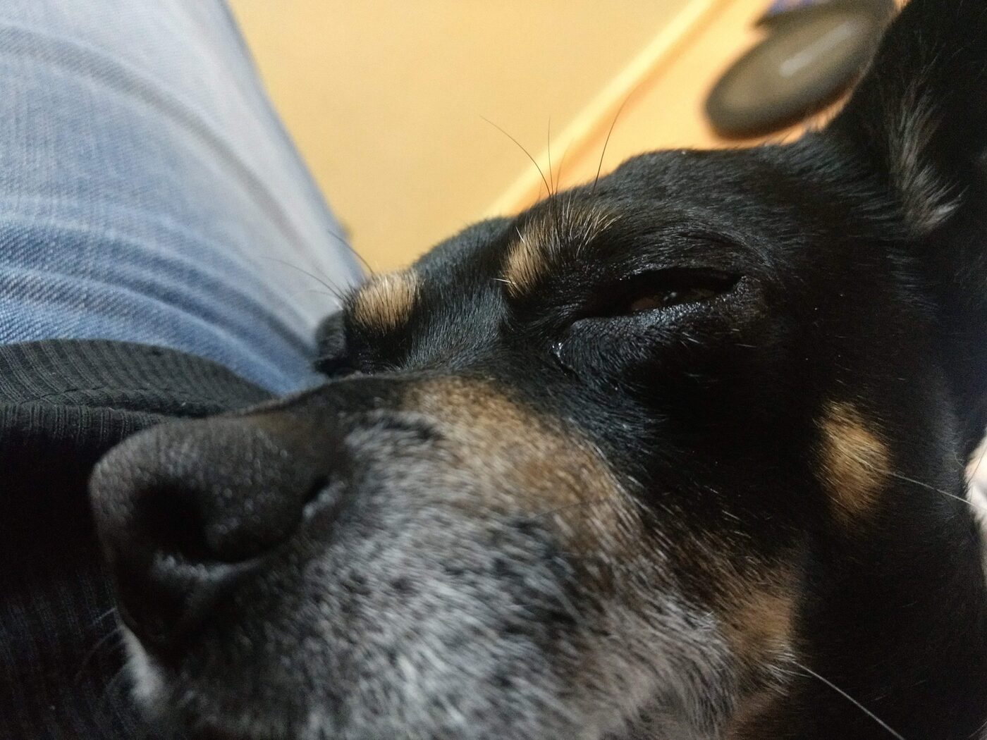 Vicious