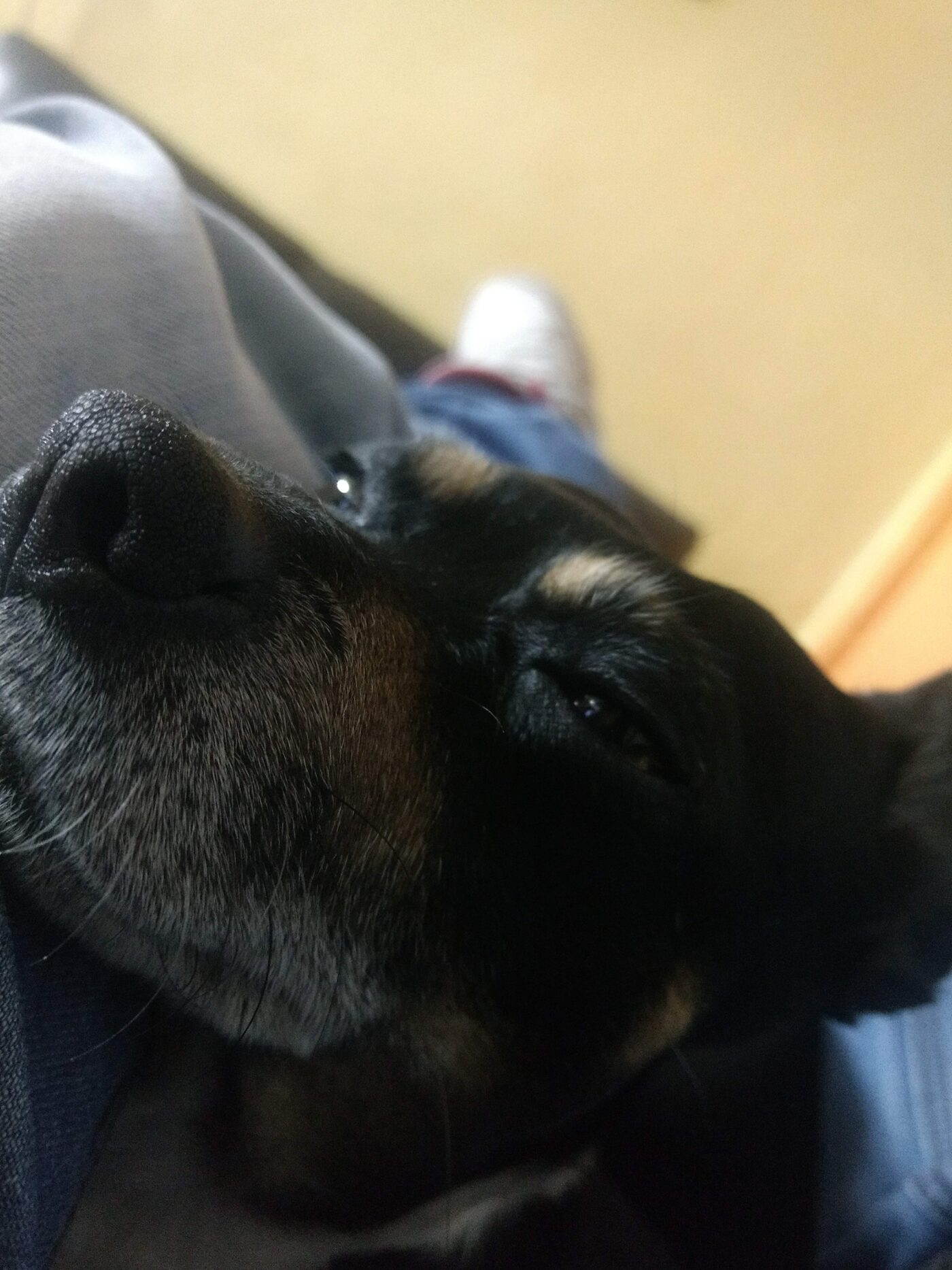 Vicious