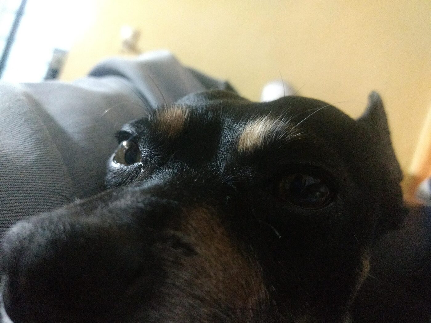 Vicious