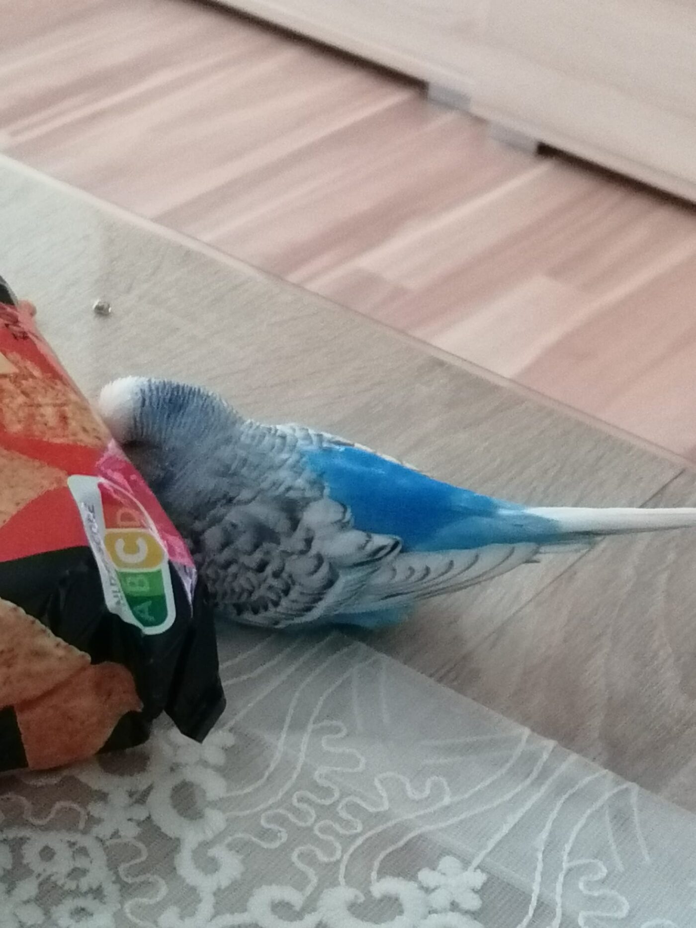 Boncuk