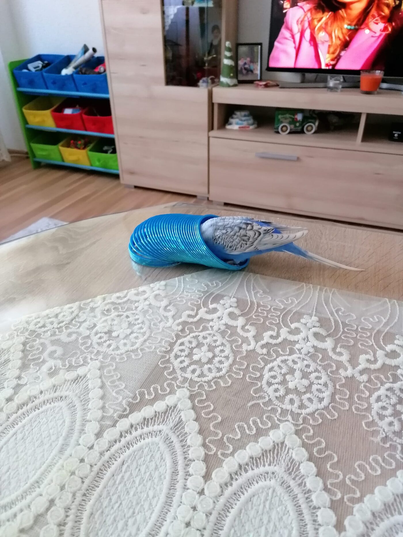 Boncuk