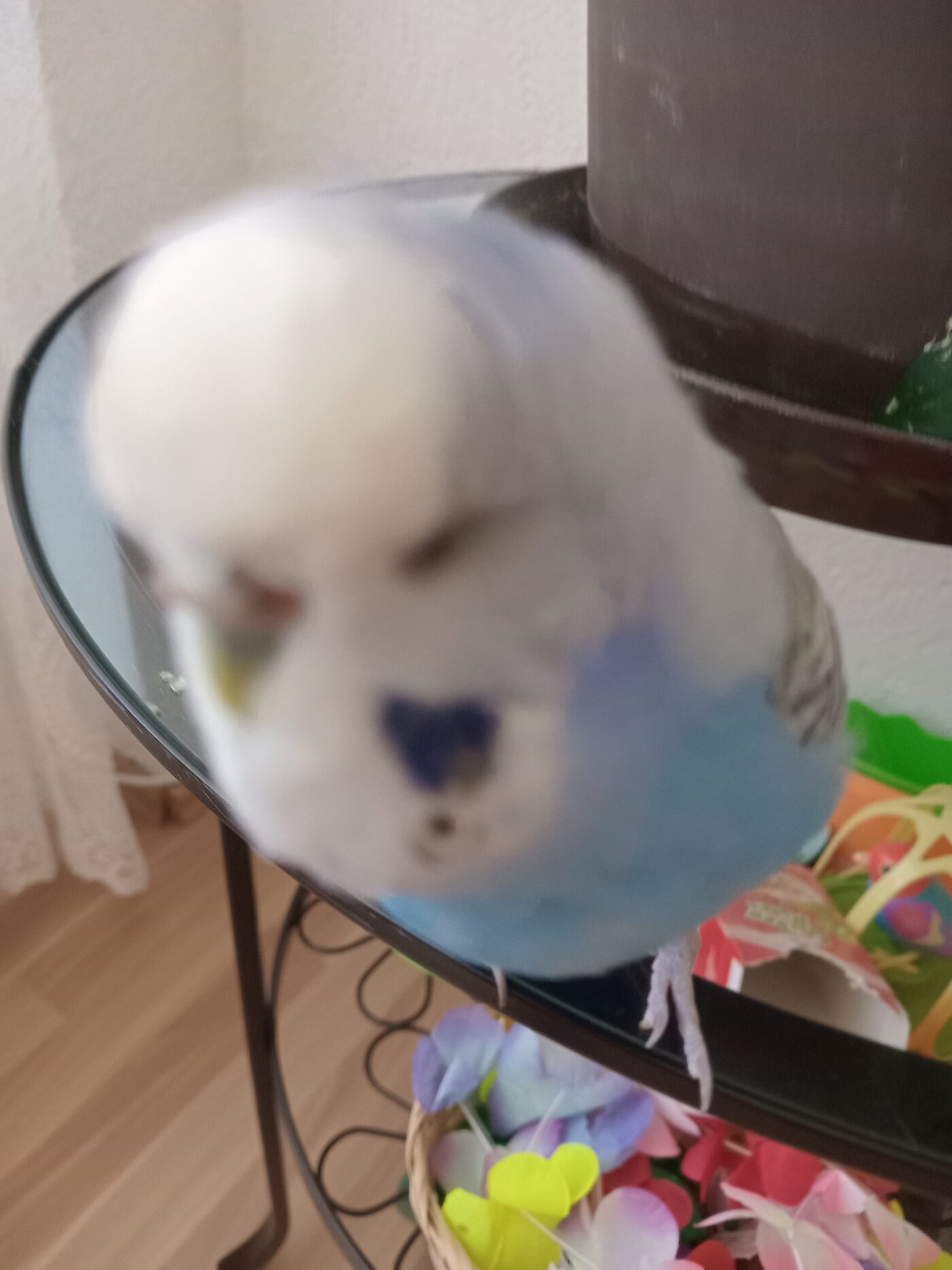 Boncuk