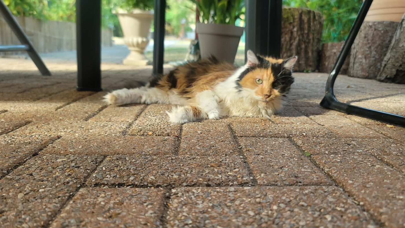 Fifille
