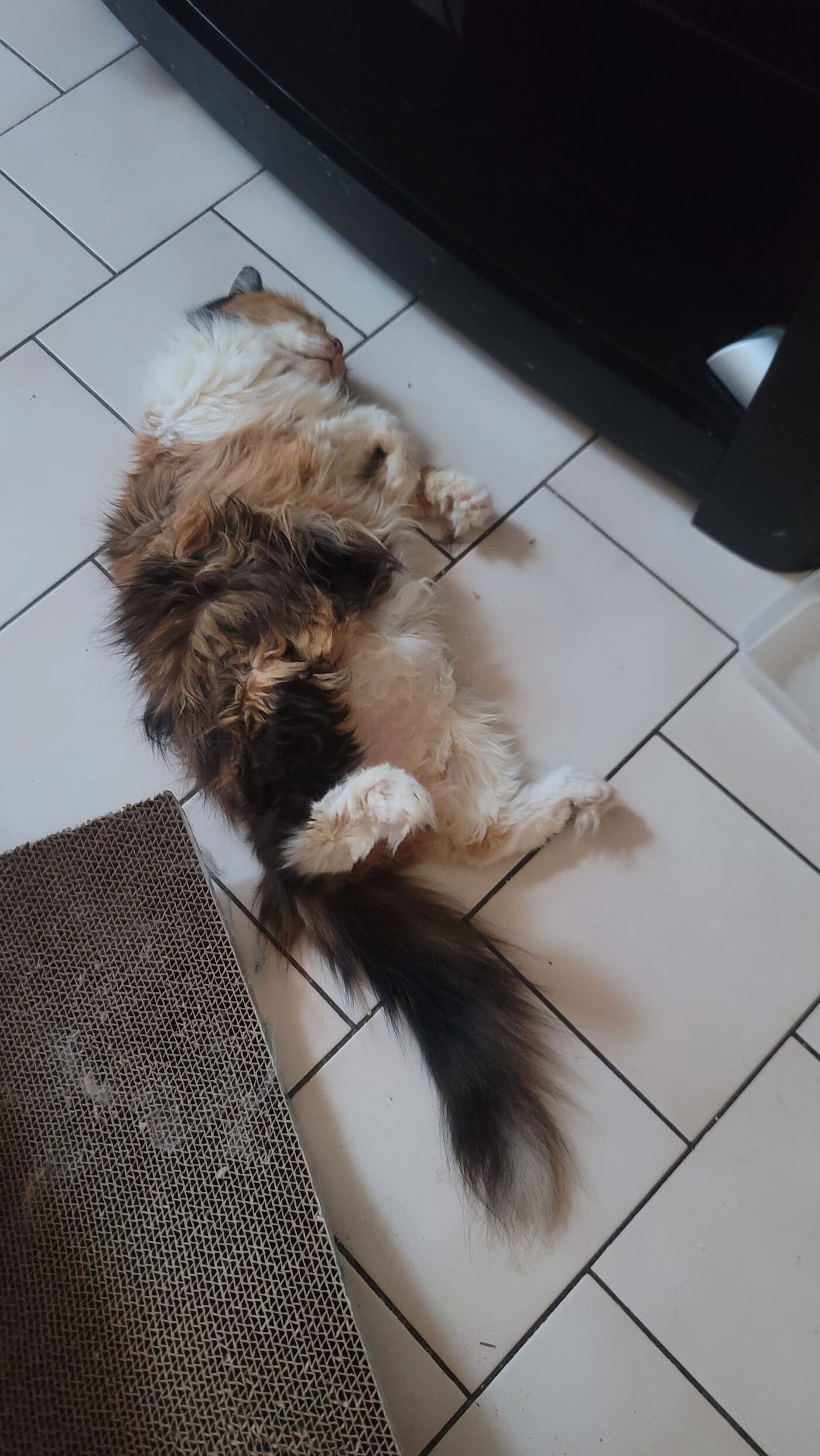 Fifille