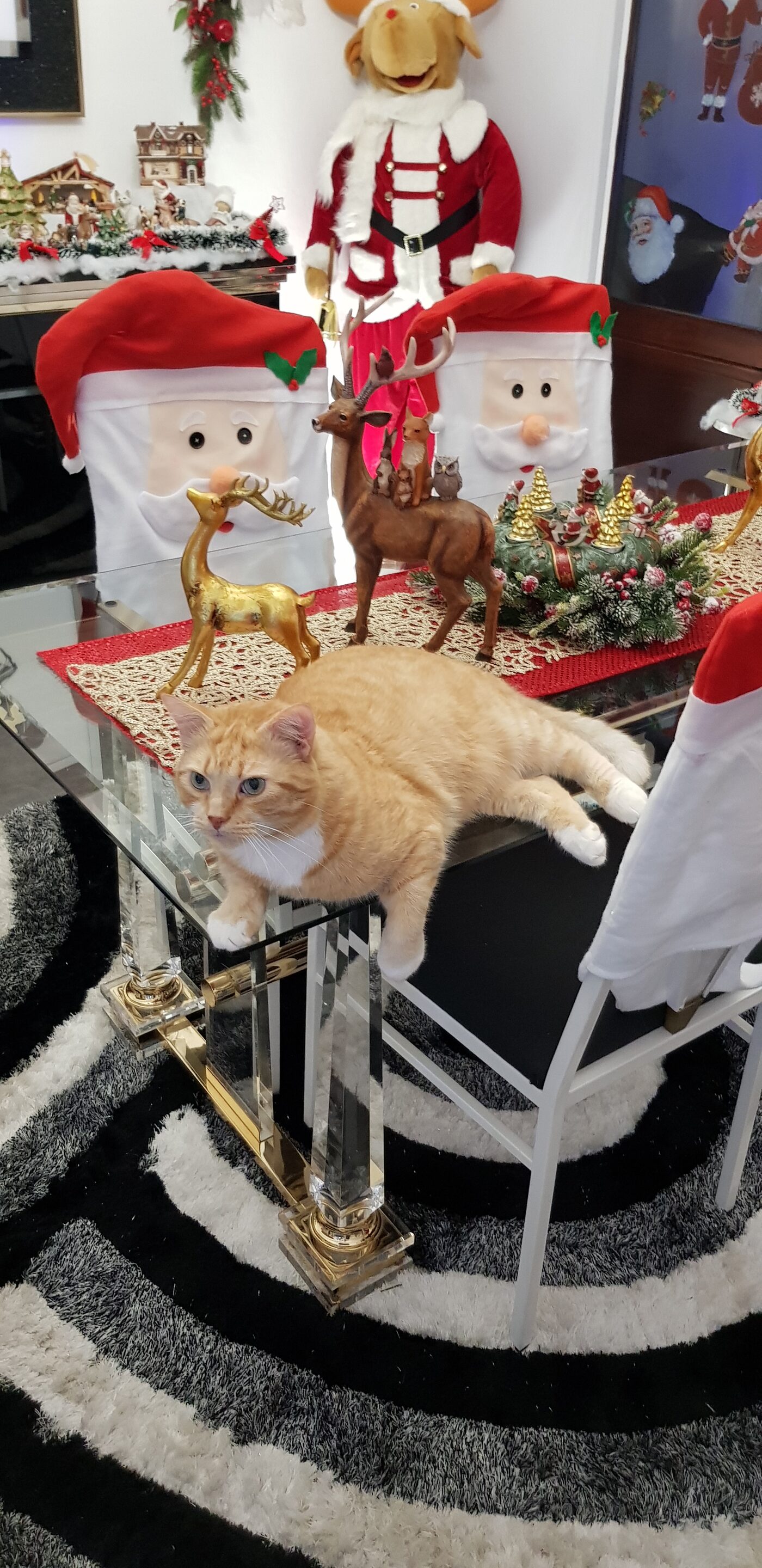 Nounours