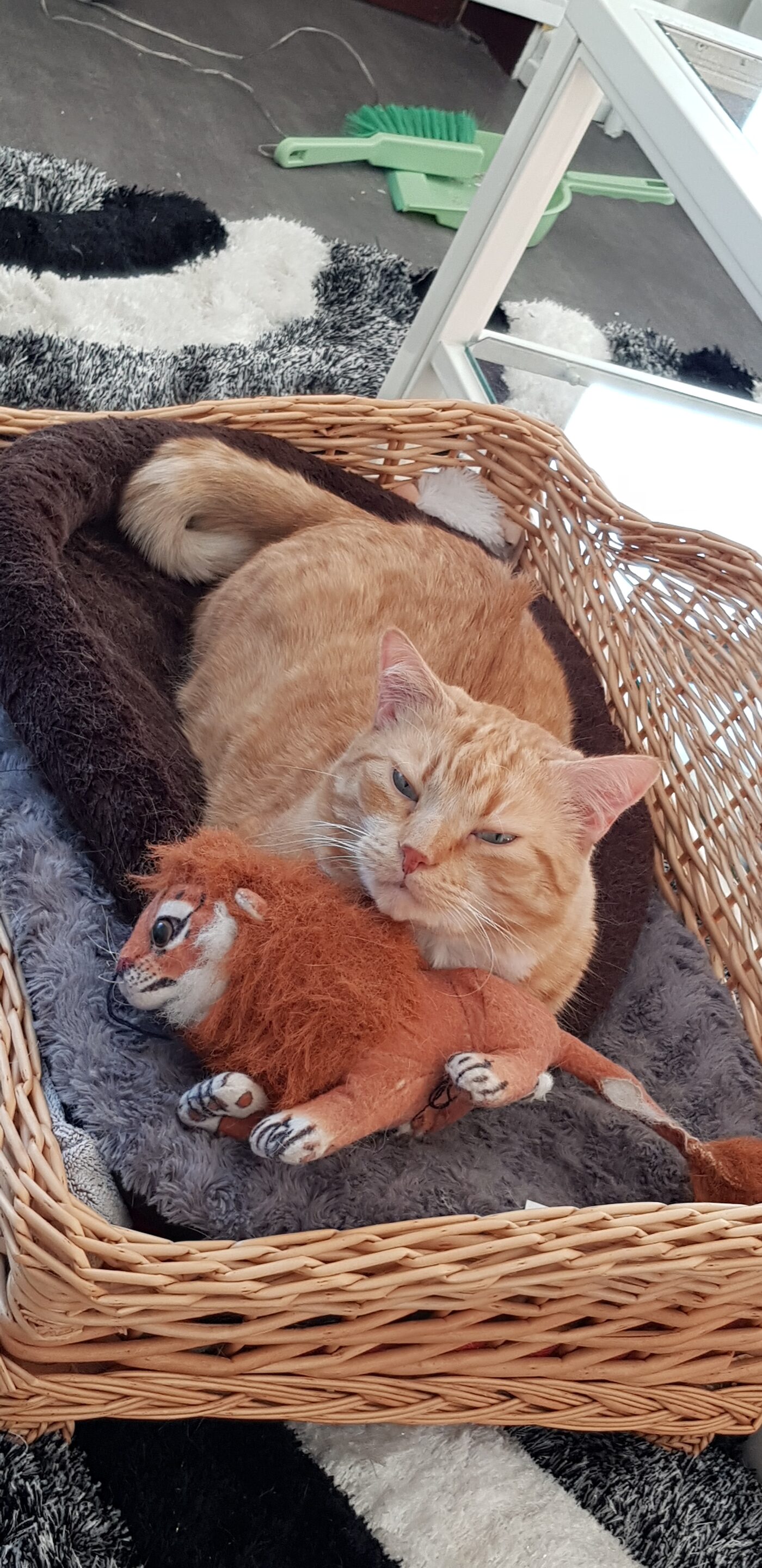 Nounours