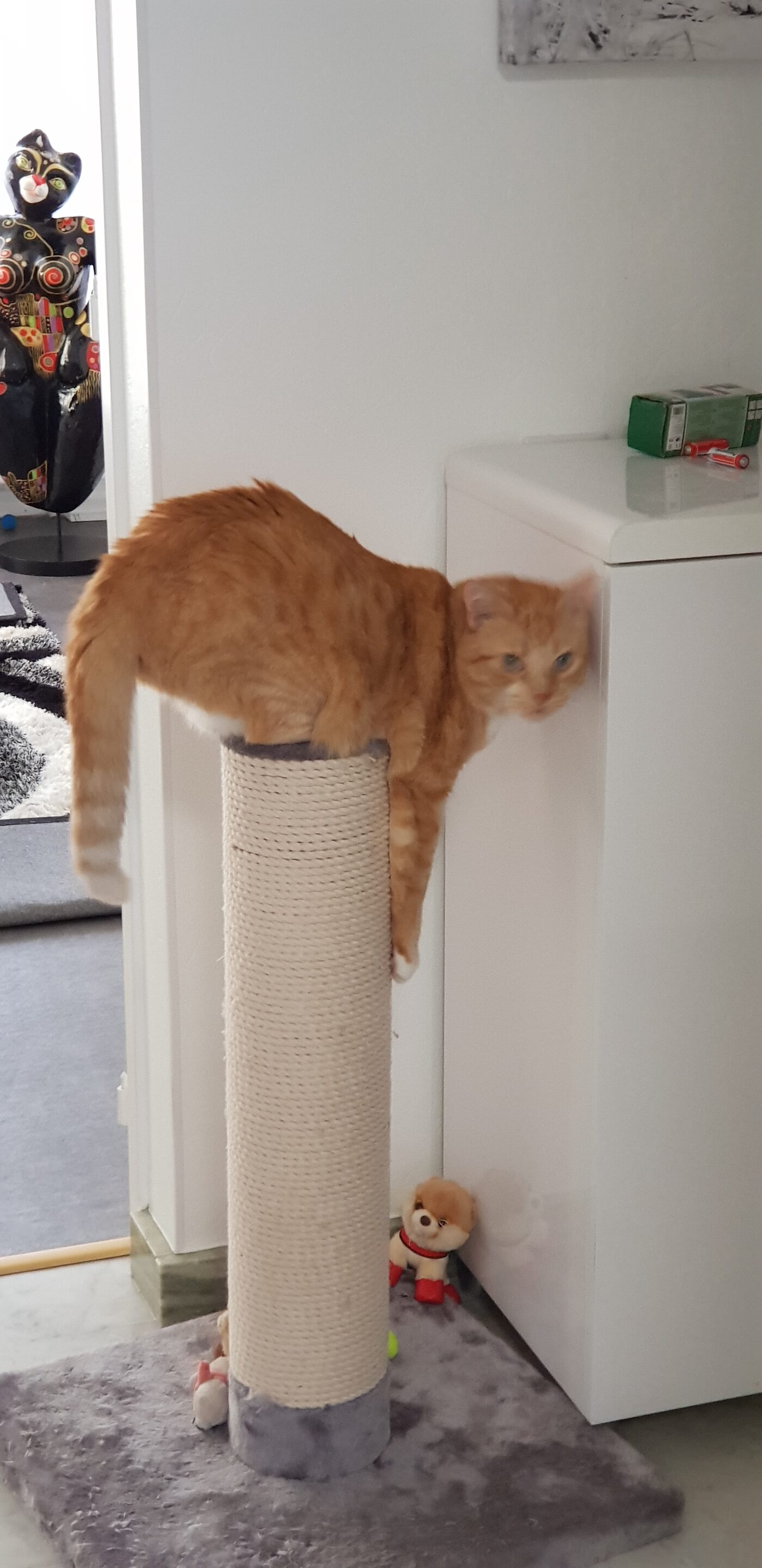 Nounours
