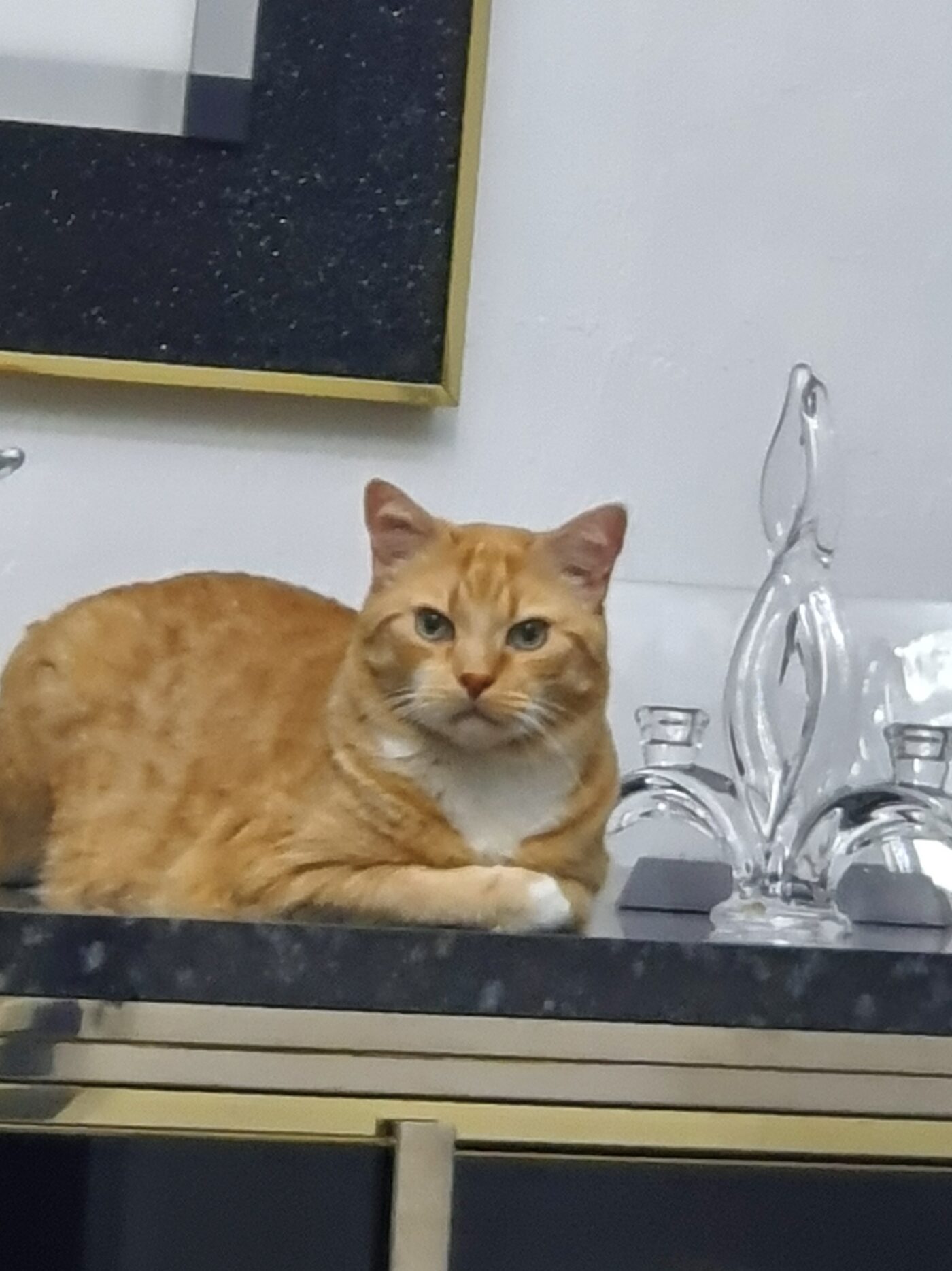 Nounours