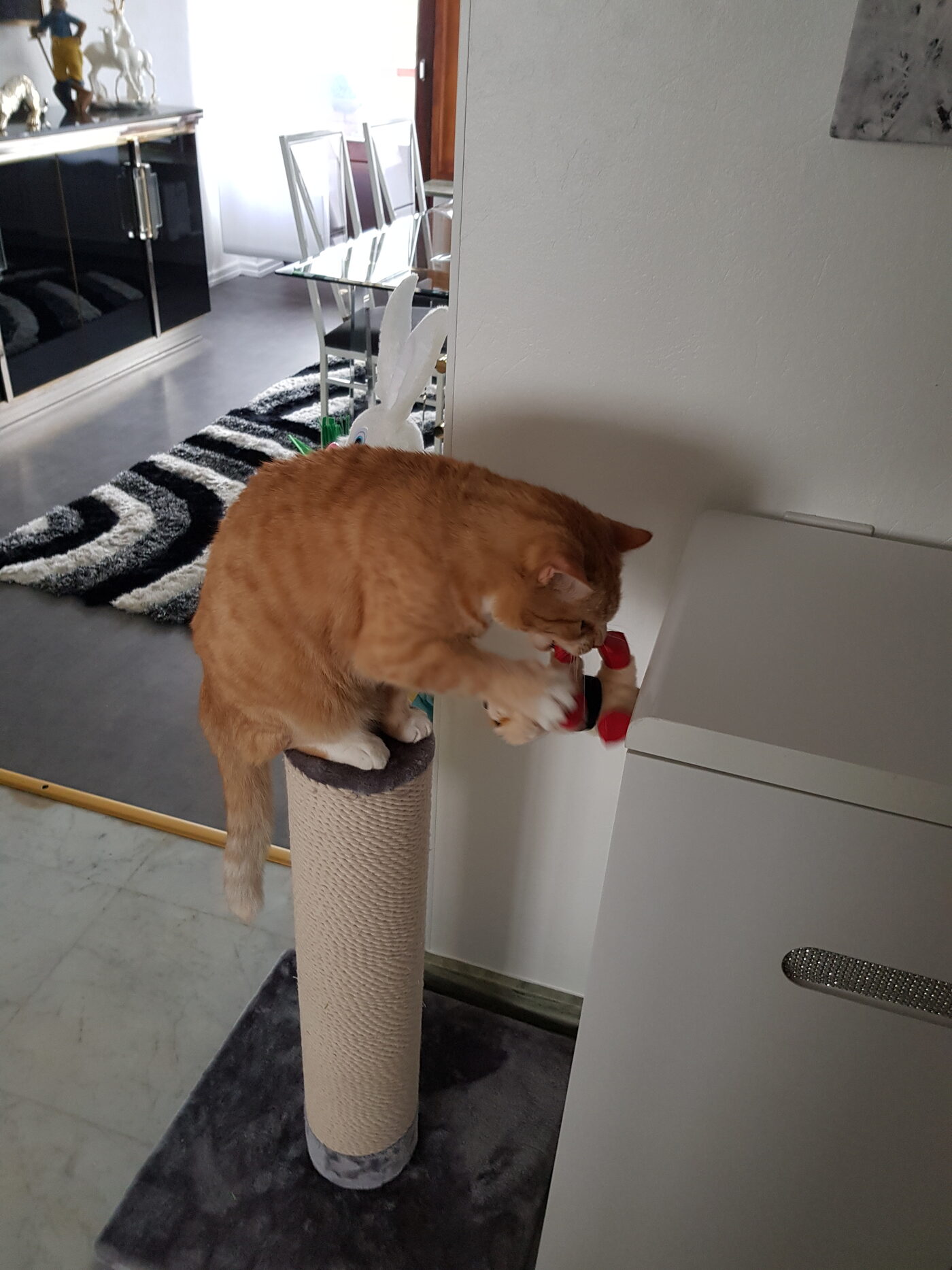 Nounours