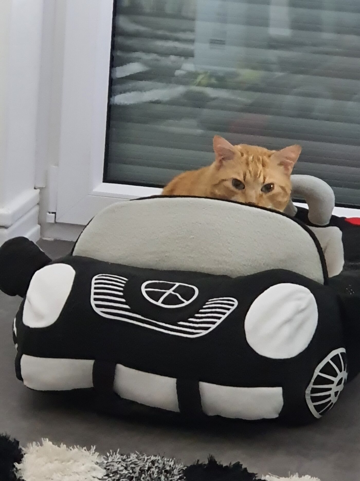 Nounours