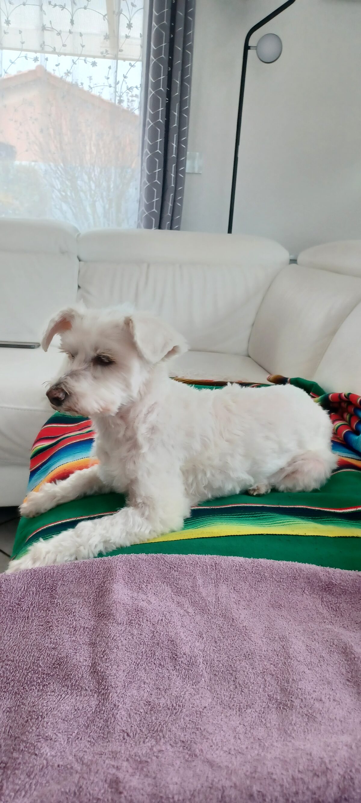 Lilou