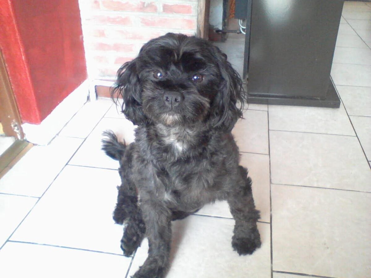 Charly