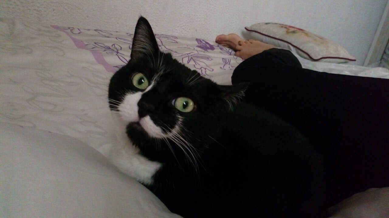 Winnie