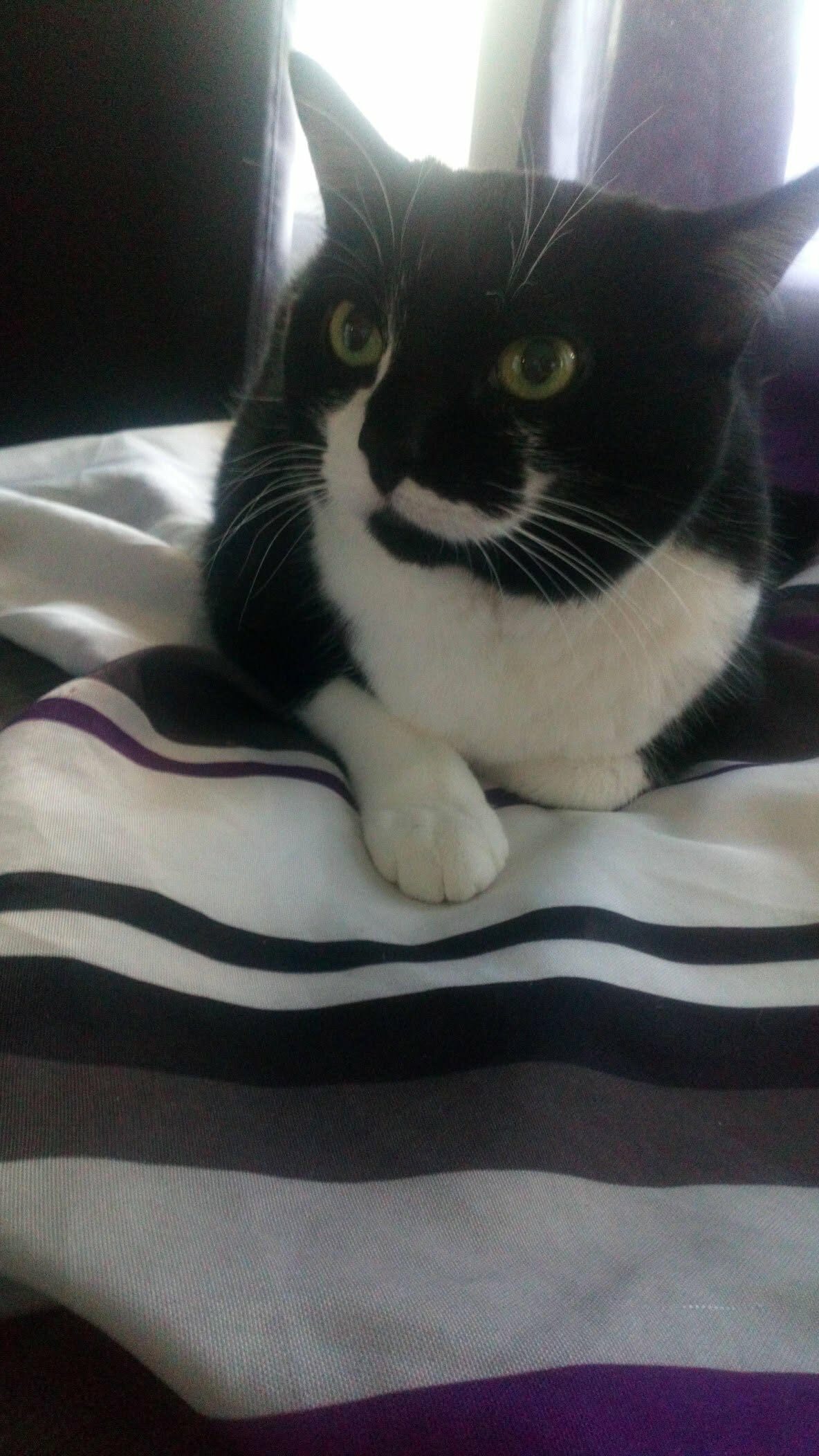 Winnie