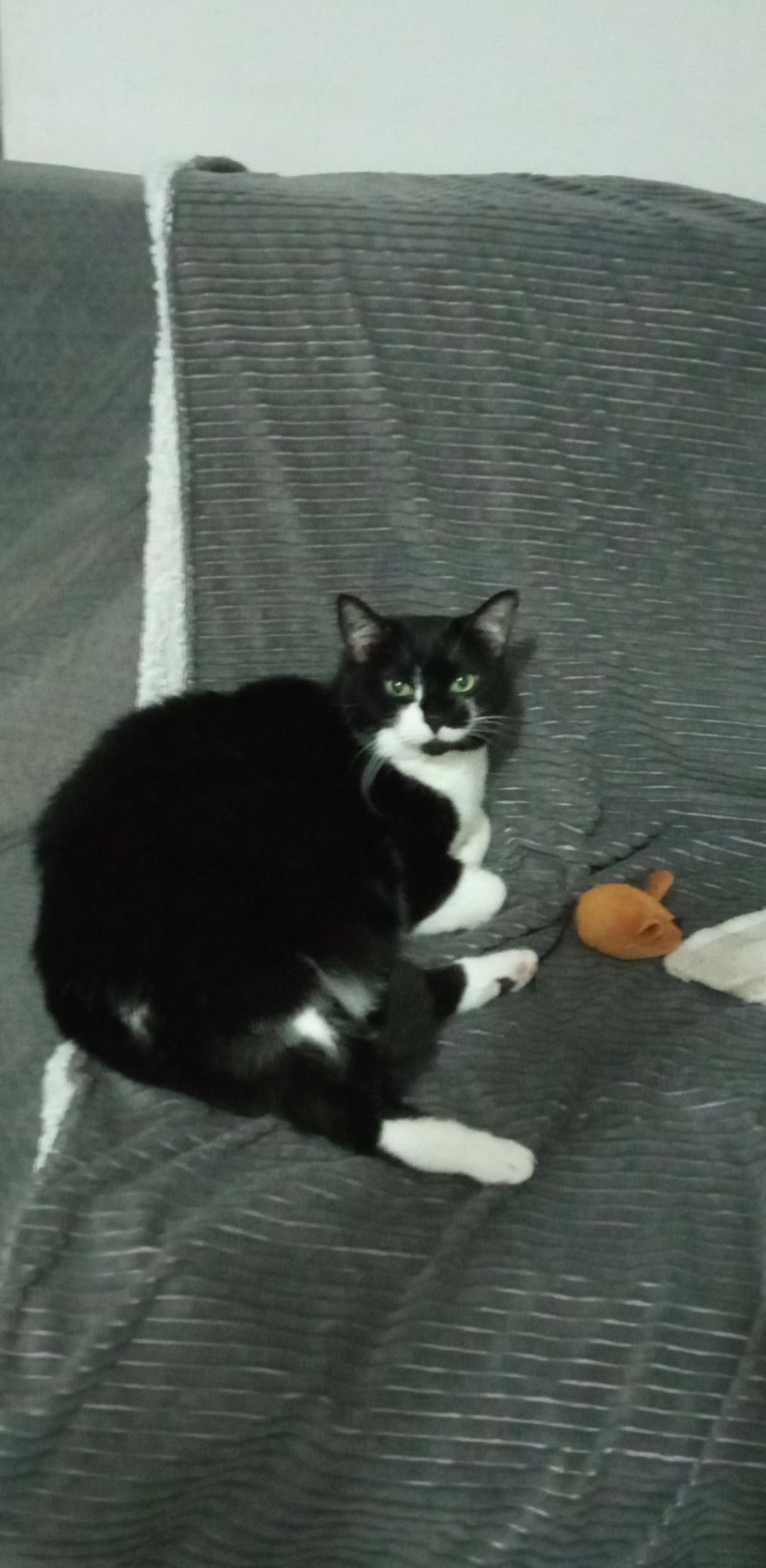Winnie