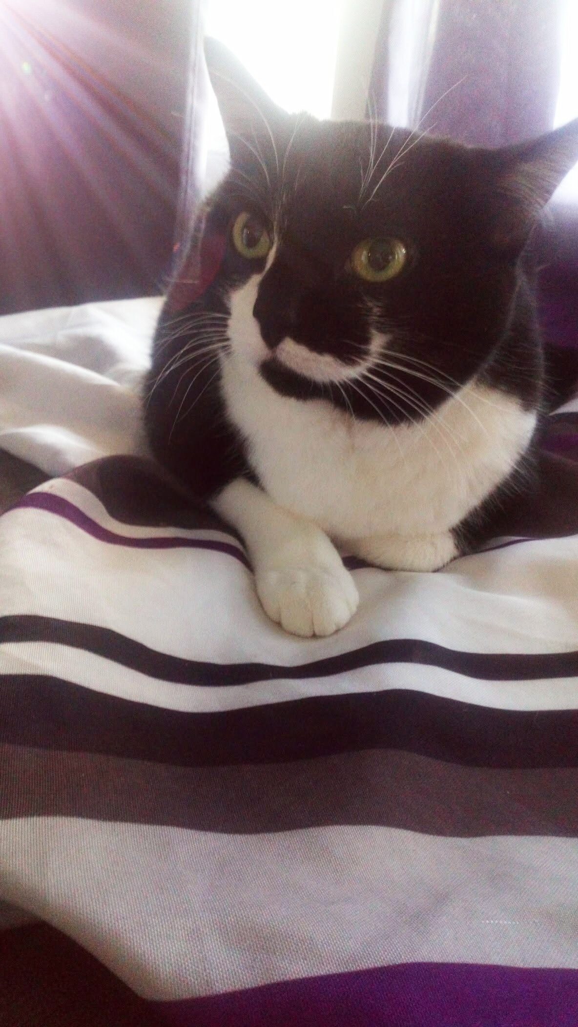 Winnie