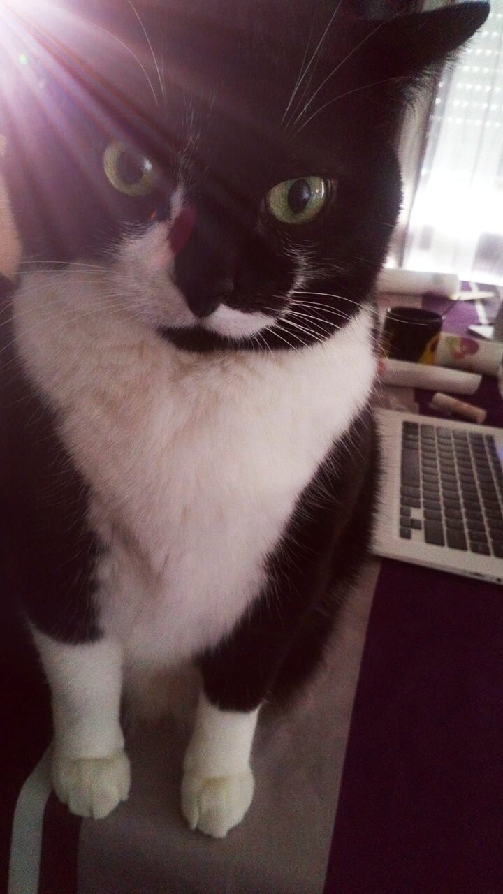 Winnie