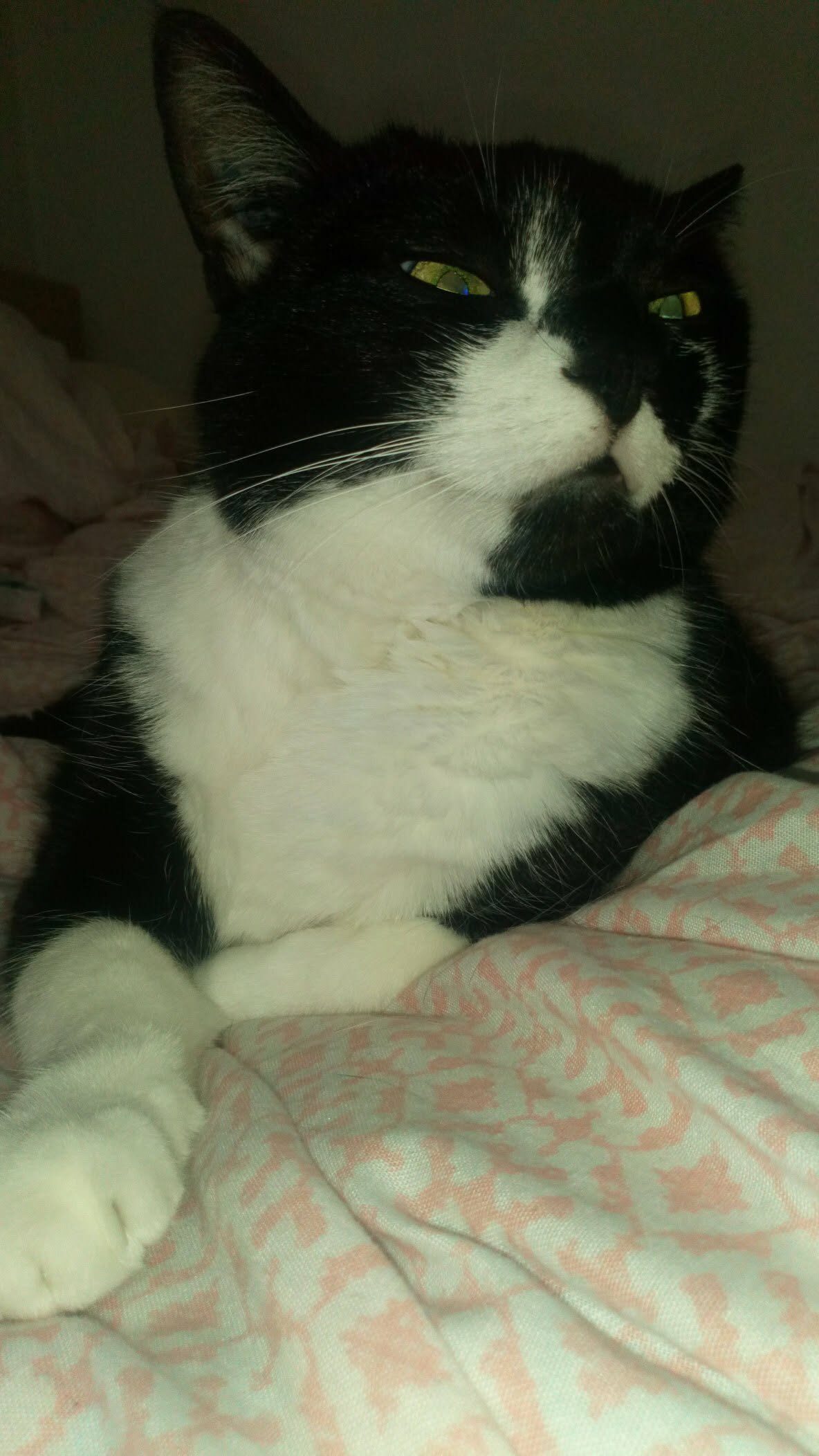 Winnie